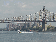 One of the prettiest things about New York are the majestic bridges.  Here you see the Queensboro Bridge as seen from the grounds of the UN.