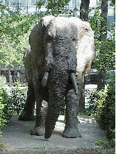 Center right photo is an elephant that looks so real you wish you had some peanuts. 