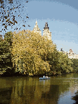 Top right is a photo over looking The Lake with the city skyline of the West Side in the distance. Center right picture you see a rowboat on The Lake.  You can rent a boat and enjoy the view with the ducks.