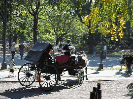 Bottom right is one of the horse drawn carriages in Central Park. 