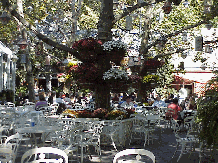 Top right picture is one of the dining areas of Tavern on the Green.