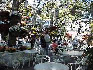 Top left picture was taken at Tavern on the Green. This is just a part of the outdoor dining area.