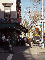 Top left picture was taken across the street from Tompkins Square Park.