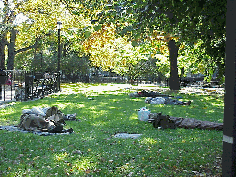 Center right you see a field in the park and the many homeless.  We encourage everyone to help the homeless any way you can. Remember to give your extra coats to local charities for winter. The holidays are coming; remember the children need toys.