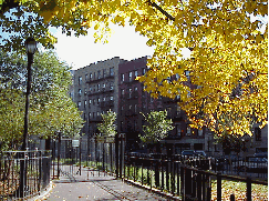 In the picture to the right you see a street beside the park with residential buildings.