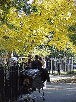 Top left picture is a homeless person in Tompkins Square Park.  Remember when you book hotels or purchase anything on Readio, we give portions to the homeless.