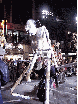 The pictures on this page were taken at the annual Halloween Parade in Greenwich Village.  Every year you see larger than life things walking Sixth Avenue.