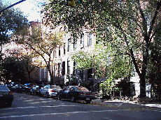 The picture to the right is another pretty tree lined street in the West Village.  No wonder so many famous people make the West Village their home.