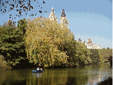 Top right picture was taken at The Lake in Central Park.