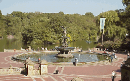 This picture was taken at Bethesda Fountain in Central Park.   Almost anytime you go to Central Park you will see musicians, artists, photographers, sports fans and families.