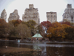 Top left picture you see the Conservatory in Central Park with the skyline of the East Side of Manhattan in the distance.  Central Park is 840 acres of perfectly manicured   playground for the city dwellers of NYC.