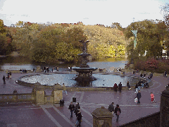 Top right picture is Bethesda Fountain in Central Park.  Days spent in New York's Central Park are always pretty, but in the fall, they are magnificent.