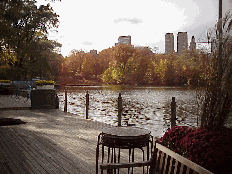 Bottom right picture was taken beside the Boat House in Central Park.  This is a beautiful restaurant with a fire place and this pretty view of the city.  During the warm weather there are tables on the deck for dining or having a drink before dinner.