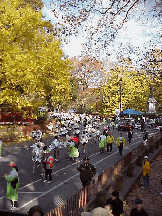 There's always events going on in Central Park.  On this day (top left picture) you see runners in the New York City Marathon.