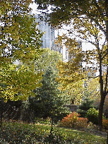 Center right picture if you look closely you see the skyline of the city through the trees and pretty fall colors.