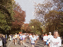 Bottom right picture you see some of the runners in the NYC Marathon near the Lake in Central Park.