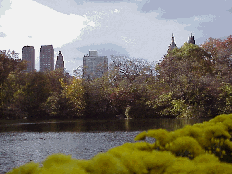 Top right photo you see the skyline as seen from the Boat House in Central Park, with flowers on the deck in the forefront.