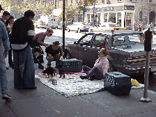 Top left photo is a homeless person on Columbus Avenue that is attracting a lot of attention with puppies.