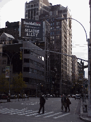 Top left picture you see Silicon Alley on Broadway.  The Flatiron Building was originally named the Fuller Building.  This Renaissance triangular shape building was the world's first steel frame skyscraper.