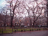 One of the most popular gathering places in Greenwich Village is Washington Square Park.  The pictures on this page were taken after a recent heavy rain when we were treated to beautiful skies and a rare double rainbow.