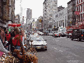 Top right photo you see a street vendor selling giraffes on Canal Street.