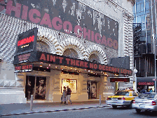 The best part of Times Square is the theater!  You'll see  comedies, dramas and musicals starring famous movie stars. You might even be lucky enough to walk by the theater before the play and see one of the stars standing out front talking with the fans!