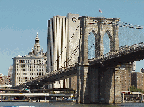 Downtown Manhattan is really one of the  busiest and prettiest areas of New York City.  Downtown is home to the Financial District and Wall Street.  It's also home to City Hall, the World Trade Center and some really great shopping.