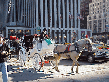 On a nice day and even when it's cold a carriage ride through Central Park is unforgettable.  This is a trip that's well worth the time and money.