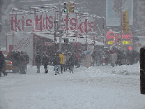 Half price day of the show tickets will keep people waiting in line at TDF no matter what the weather. Perfect night for the theater! (Every night is perfect for theater!)