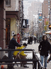 If you walk south of Houston Street from Greenwich Village you are in SoHo. Once you enter this area of New York City known for art galleries and expensive stores you'll also see quiet cobblestone streets.