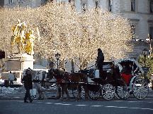 Top right picture is a horse and carriage at Grand Army Plaza.  A very romantic ride through Central Park.