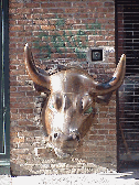 Top left photo you see a bull's head stuck in the wall.  This art was seen near Little Italy in Soho.