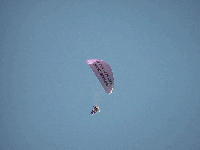 Someone  is always selling something too!  This Australian skydiver was trying to sell his new book as he skydived around the city, until he went to jail.  Now he'll have time to write another book!