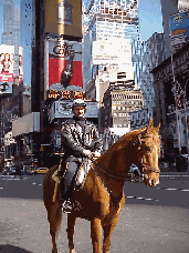 Times Square is expensive.  Every inch of space for advertising costs a fortune.  Theaters in Times Square are some of the most expensive real estate in the world.  You've got to be the best to be seen on Broadway! Here today and gone tomorrow!