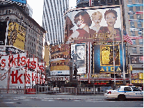 Center right picture you see some of the signs of Times Square and the Theater Development Fund or TDF ticket stand.