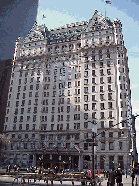 Center right picture is The Plaza Hotel.  The buildings and hotels of New York are just so wonderful, it's constant eye candy.