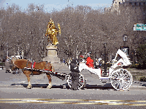 Top left picture you see the pretty horse and carriage in front of Grand Army Plaza.  This is a nice spot to start the day.