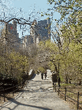 Top right picture was taken in Central Park.  You might want to take a carriage ride through the park and enjoy the first blooms of spring.