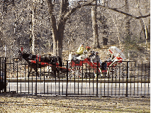 Bottom right you see a horse and carriage in Central Park.  Riding through Central Park has been popular since 1875 when society ladies, dressed in elegant attire, traveled to their teas.