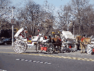 Top left photo you see a horse and carriage turning around at Grand Army Plaza.  They line up here everyday for rides through Central Park.