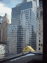 Top left picture was taken on the lobby floor of the 42nd Street Hilton Hotel.  What's that in the picture?  Looks like a big gold hand resting on the corner of the building.