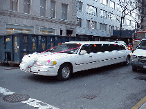 What does a well dressed limo wear?  To a wedding your limo might dress like the one in the photo to the right.  Don't forget the horns that play wedding music. Hopefully you'll only do this once, so do it right!