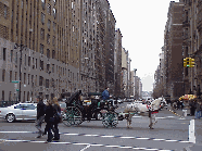 Top left picture you see a horse and carriage at 72nd Street and Central Park. It looks like a scene from yesteryear.  It's so romantic and pretty to walk along the sidewalks and watch the horse and carriages stroll by on the Upper West Side of New York.