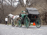 Top left photo you see a horse and carriage in Central Park.