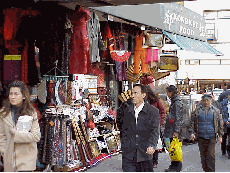 Bottom right picture you see a store front on Canal street.  You can buy scarves, purses, perfume and souvenirs in Chinatown at rock bottom discounts.