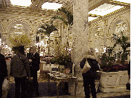 Top right photo is inside the elegant New York Plaza Hotel.