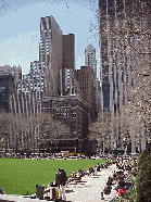 Center right picture you see the New York Public Library as seen from 42nd Street. Bottom right picture you see the lawn of Bryant Park and part of the skyline of the surrounding area. The park is surrounded by huge corporate offices.