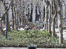 Center right picture you see a shot of the trees in Bryant Park which will soon be green (we sure hope).