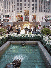 Bottom right picture you see Rockefeller Center.  The center has pretty water fountains and the surrounding area is landscaped according to the season.