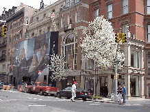 Center right picture you see some of the stores on Madison Avenue.  The billboard covers the construction of the new DKNY store soon to open.